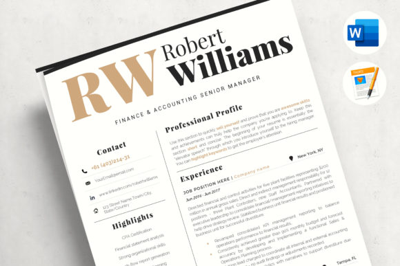 Download 3 Page Professional Resume - Accountant Sales Resume - Premium Resources